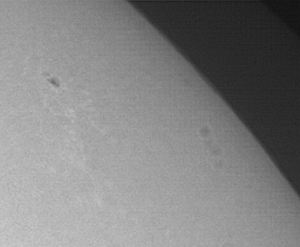 15112008_sun_speckle3